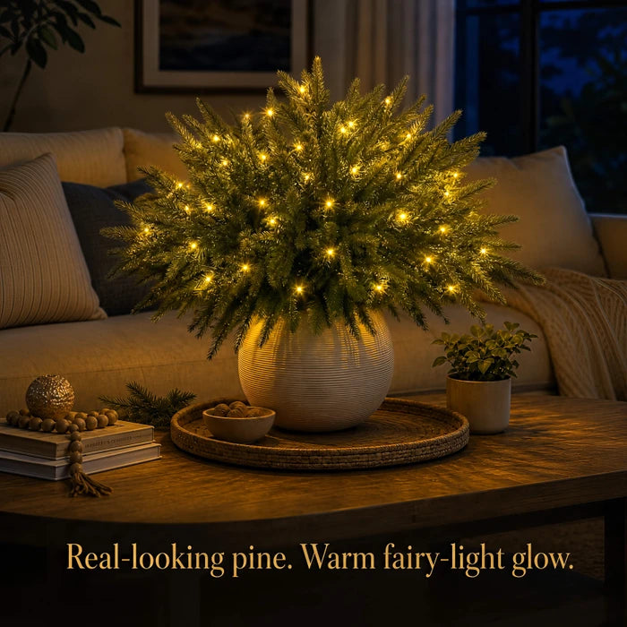 Enchanted Evergreen Pine