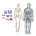 BodyLearn - 3D Human Anatomy Puzzle