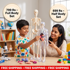 BodyLearn - 3D Human Anatomy Puzzle