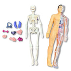 BodyLearn - 3D Human Anatomy Puzzle