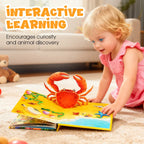 Animal Themed Pop-Up Educational Books